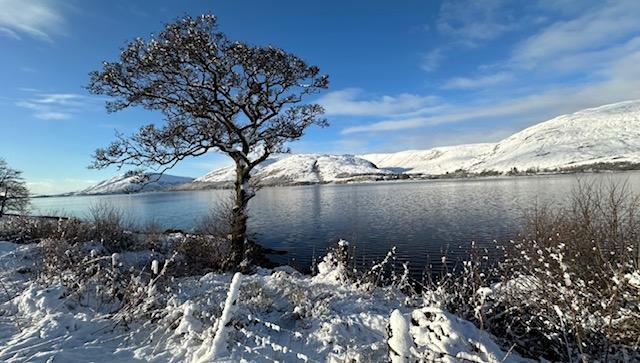 Hillview Winter Views